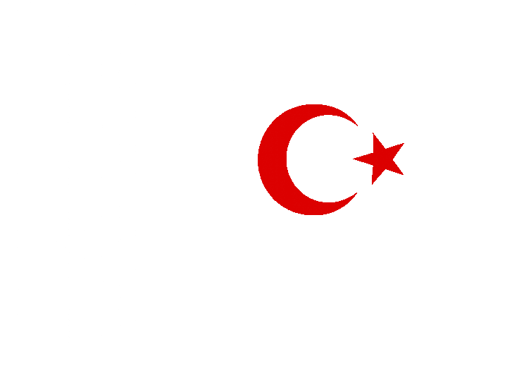 YerliAlSat